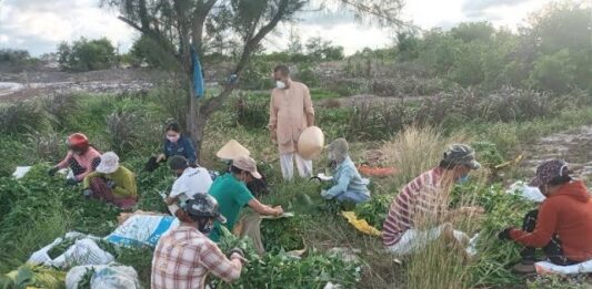 Video QCB: Trường Phật học Quảng Nam khai giảng năm học mới (2021 – 2022)